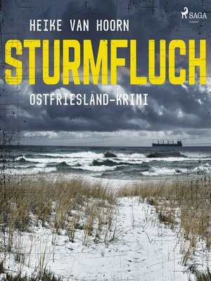 cover image of Sturmfluch